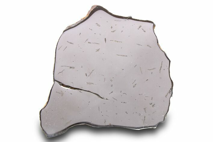 Gebel Kamil Iron Meteorite Slice ( g) - Egypt #284542